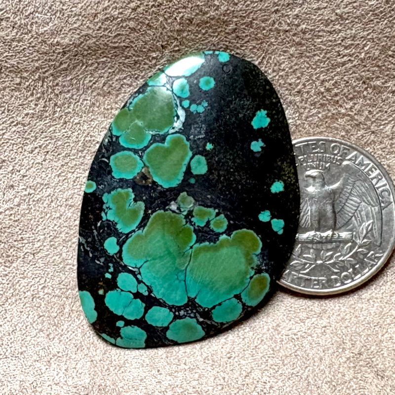 Turquoise Cabochon
