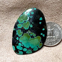 Turquoise Cabochon