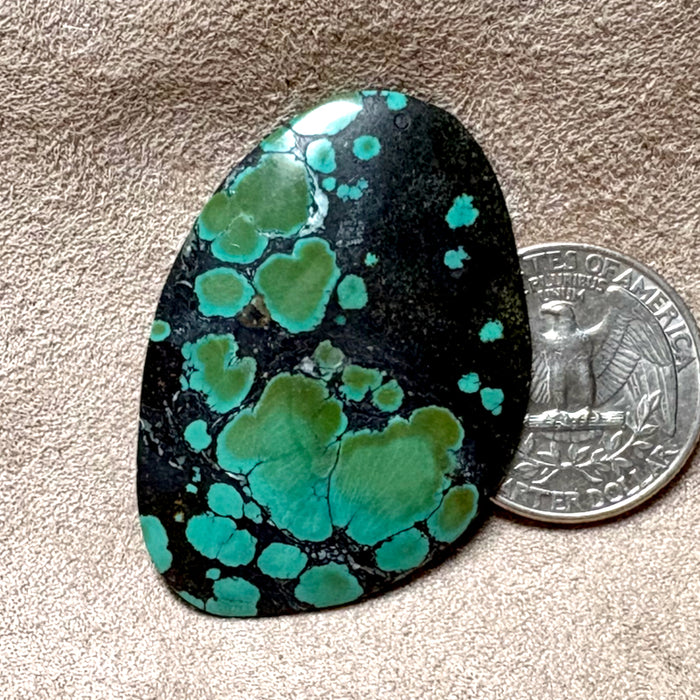 Turquoise Cabochon