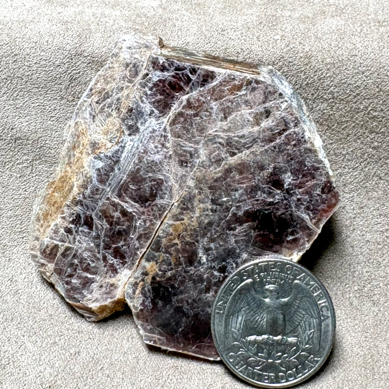 Lepidolite (Mora County, New Mexico)