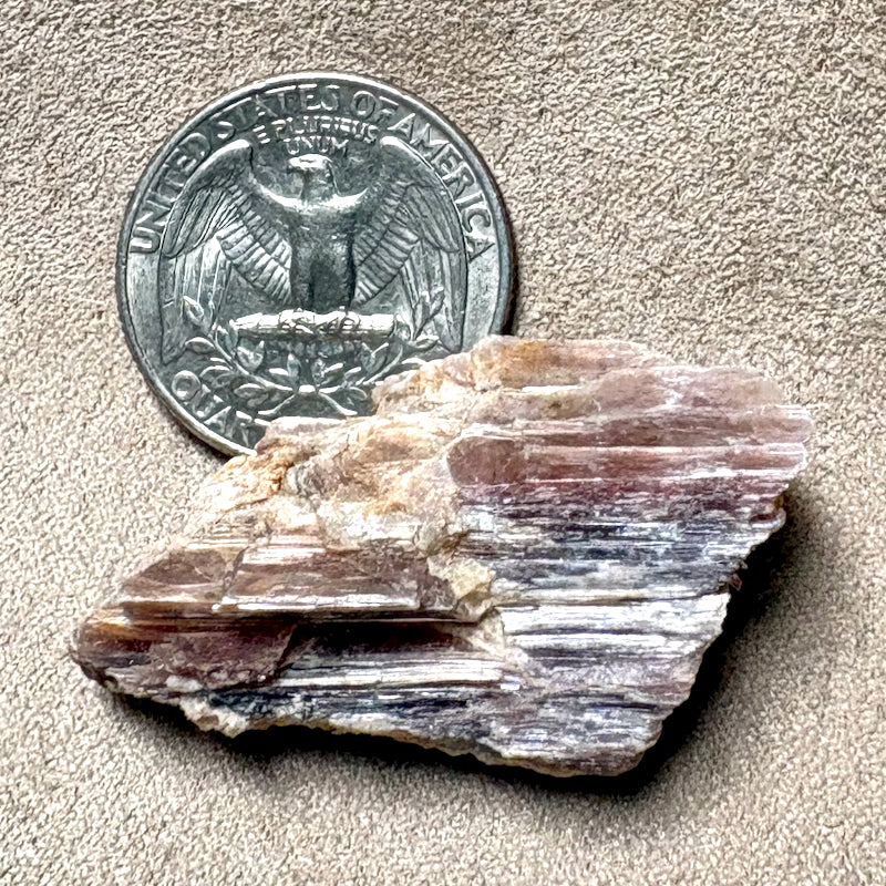 Lepidolite (Mora County, New Mexico)