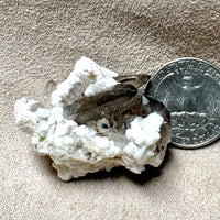 Smoky Quartz with Albite & Orthoclase (Dona Ana Co., New Mexico)