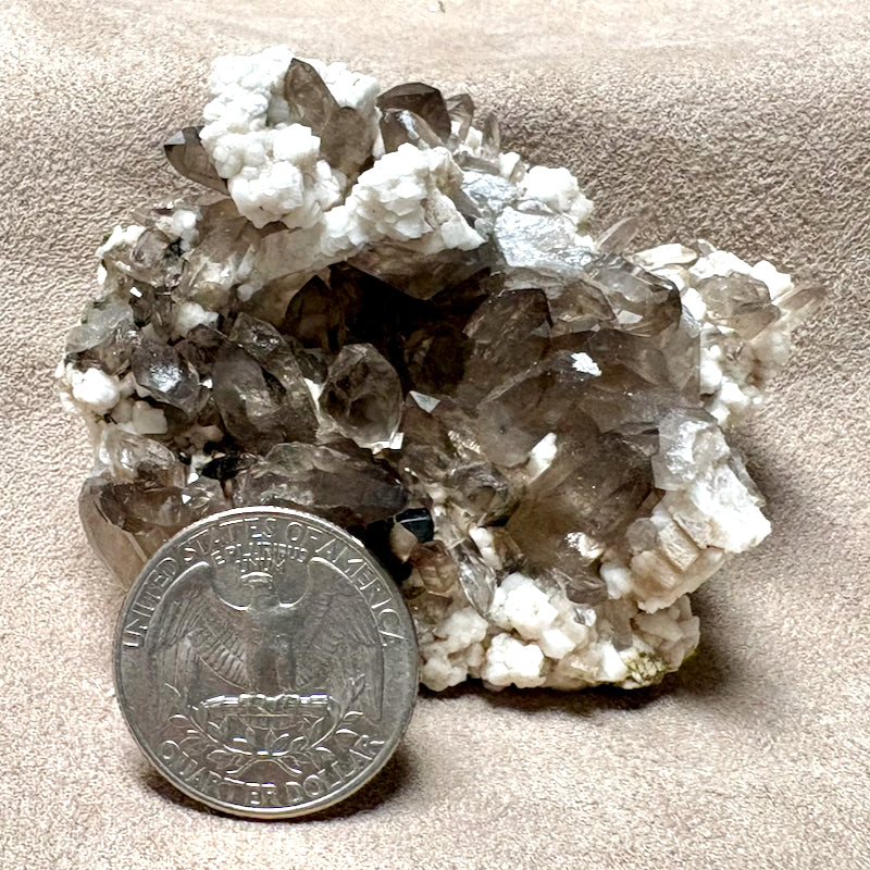 Smoky Quartz with Albite & Orthoclase (Dona Ana Co., New Mexico)