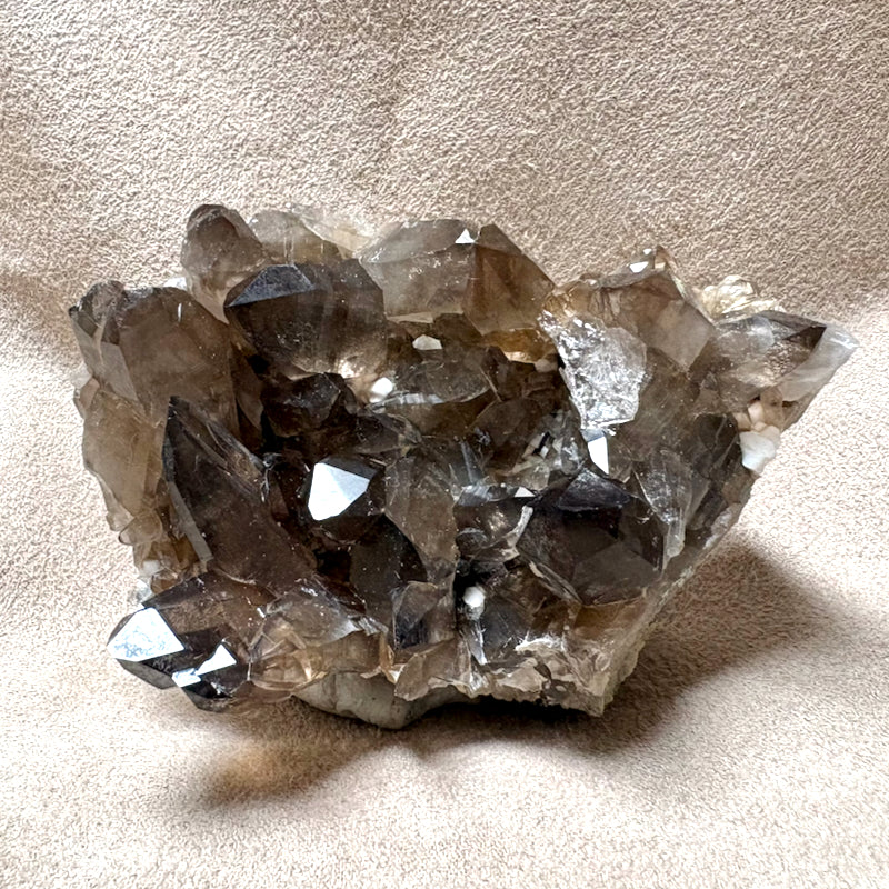 Smoky Quartz with Albite & Epidote (Dona Ana Co., New Mexico)