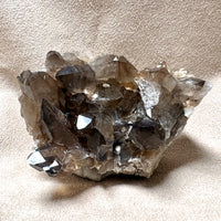 Smoky Quartz with Albite & Epidote (Dona Ana Co., New Mexico)