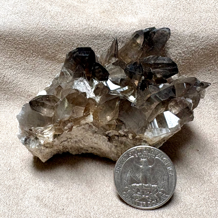 Smoky Quartz with Albite & Epidote (Dona Ana Co., New Mexico)