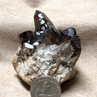 Smoky Quartz with Quartz & Epidote (Dona Ana Co., New Mexico)