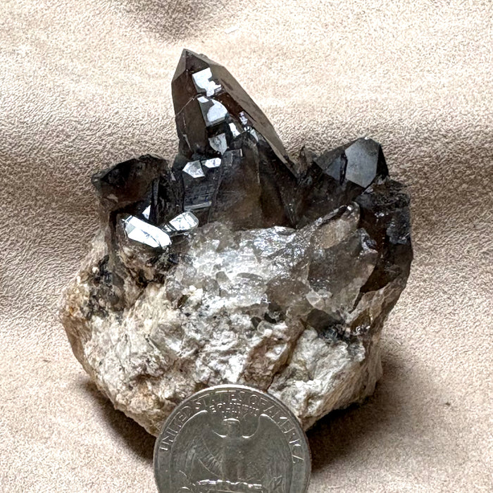 Smoky Quartz with Quartz & Epidote (Dona Ana Co., New Mexico)