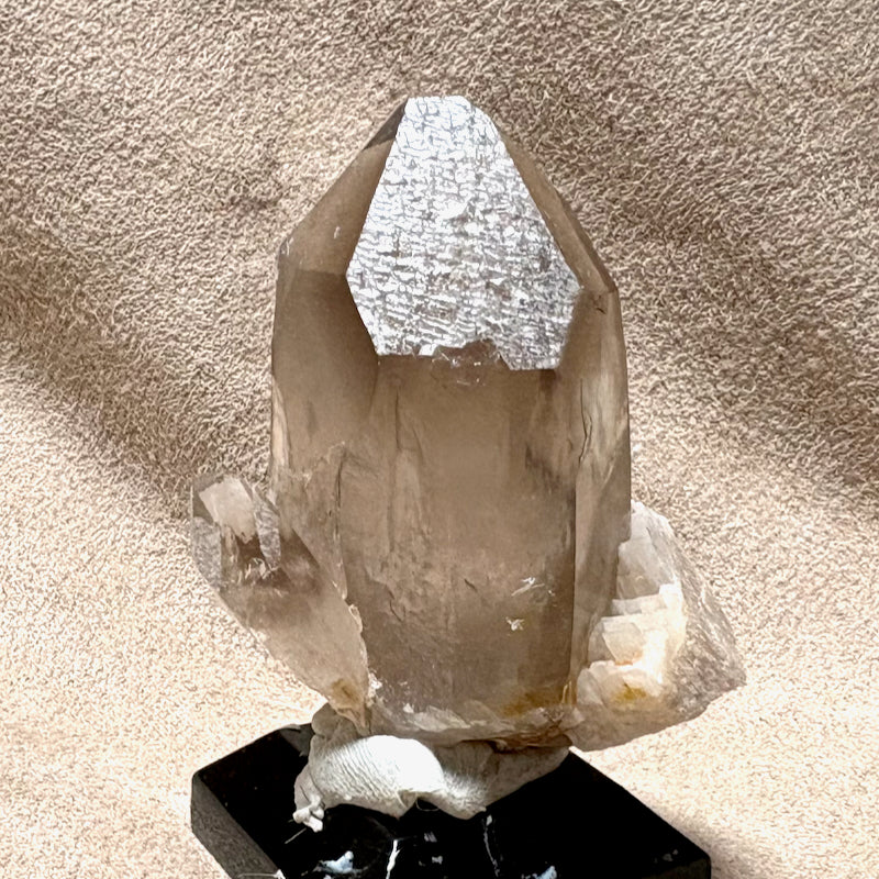 Smoky Quartz Crystal with Albite (Dona Ana Co., New Mexico)