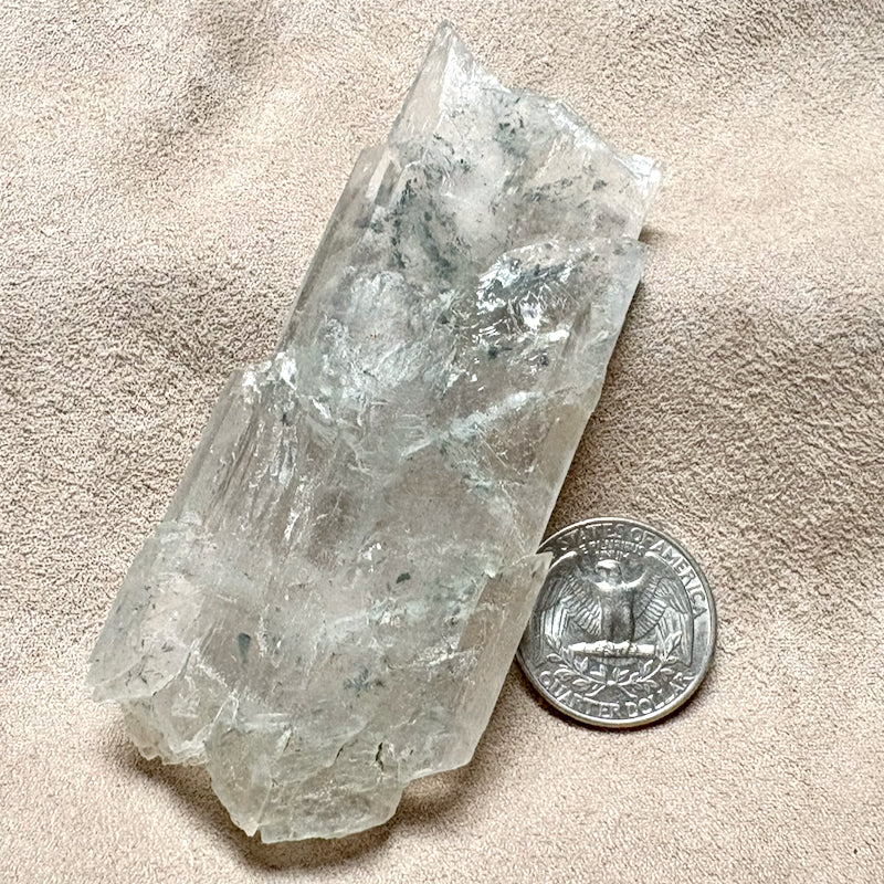 Gypsum (Selenite) Crystal (Chaves Co., New Mexico)