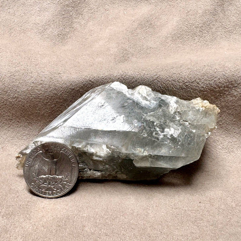 Gypsum (Selenite) Crystal (Chaves Co., New Mexico)