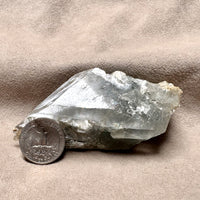 Gypsum (Selenite) Crystal (Chaves Co., New Mexico)
