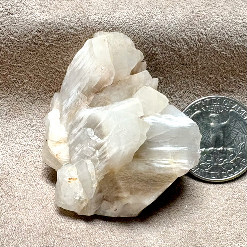 Orthoclase, Gemmy (Dona Ana Co., New Mexico)