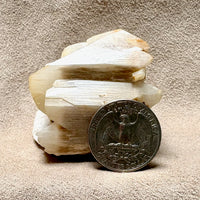 Orthoclase, Gemmy (Dona Ana Co., New Mexico)