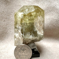 Apatite (Fluorapatite) (Eagle Co., Colorado)