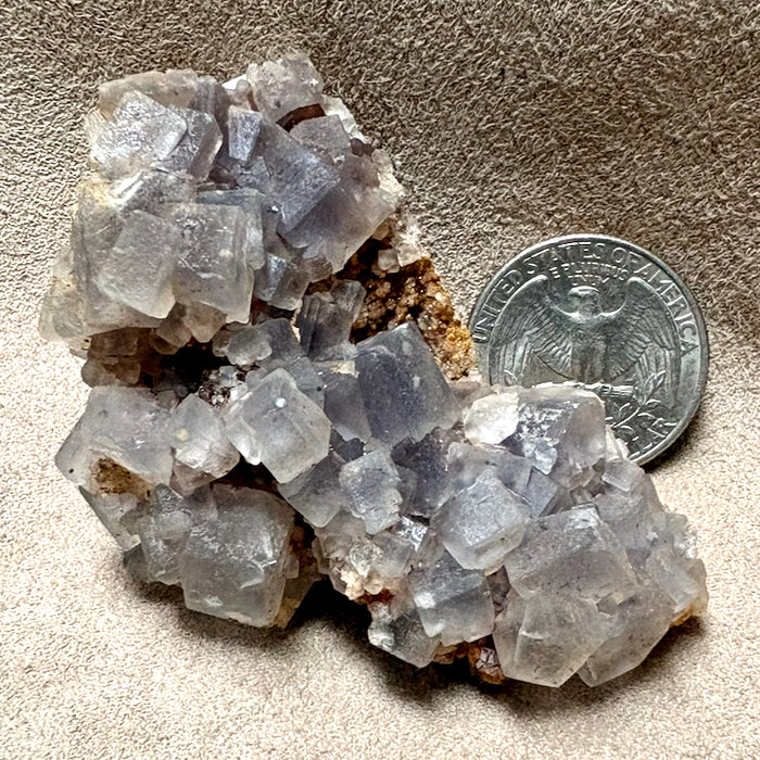 Fluorite (Cookes Peak, Luna Co., New Mexico)