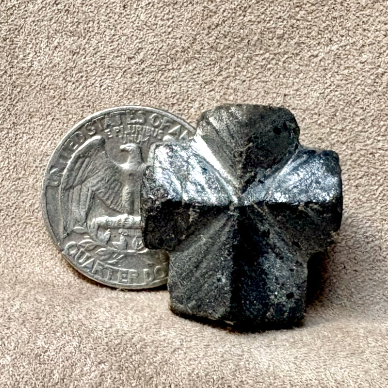 Staurolite Crystal (Taos Co., New Mexico)