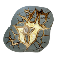 Septarian Nodule Polished Face (Utah)