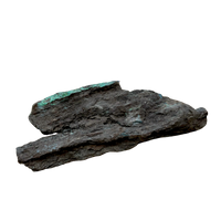 Petrified Wood, "Nacimiento" (Triassic, Sandoval Co., New Mexico)