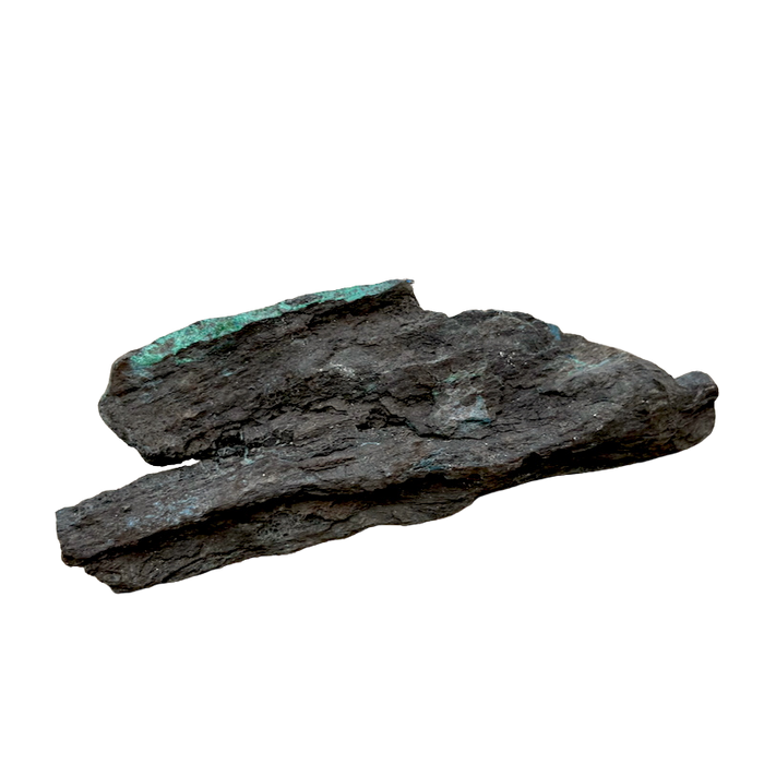 Petrified Wood, "Nacimiento" (Triassic, Sandoval Co., New Mexico)