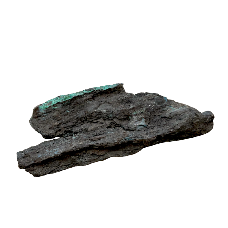 Petrified Wood, "Nacimiento" (Triassic, Sandoval Co., New Mexico)