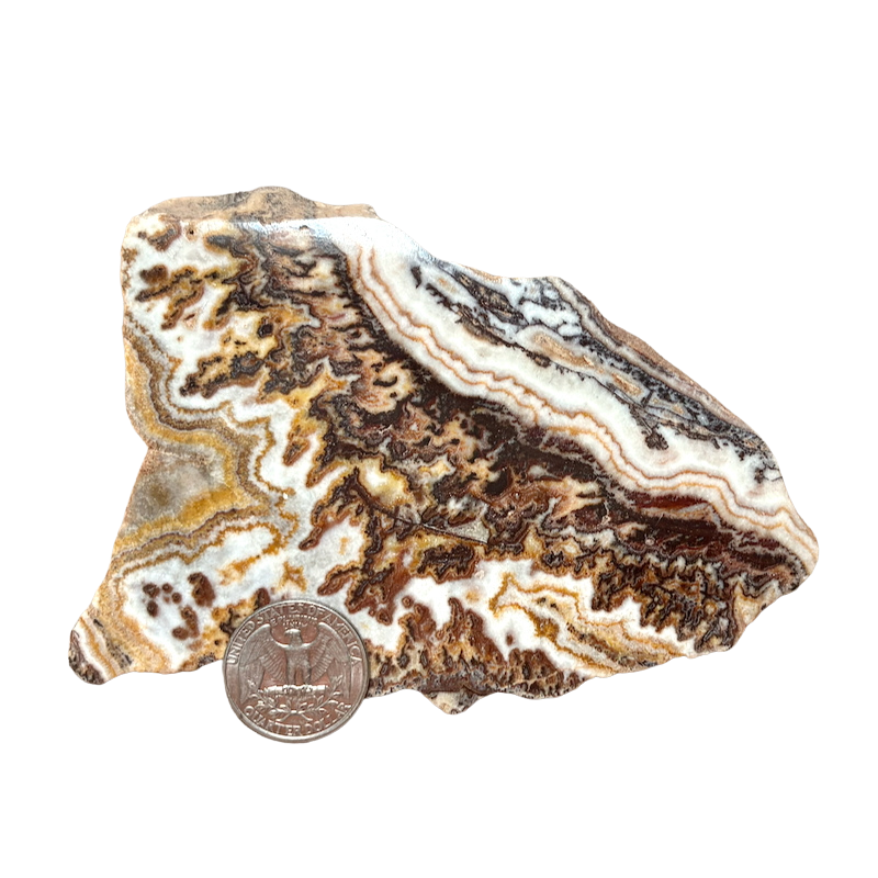 Onyx, Dendritic, Polished Slab (Morocco)