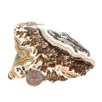 Onyx, Dendritic, Polished Slab (Morocco)