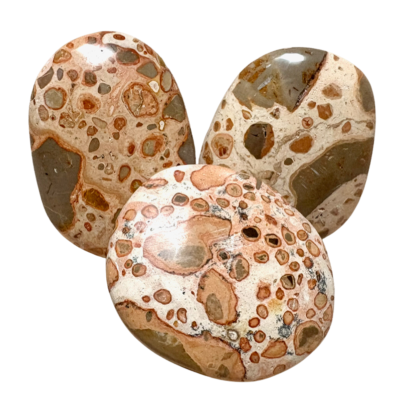 Puddingstone Palmstone