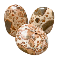Puddingstone Palmstone