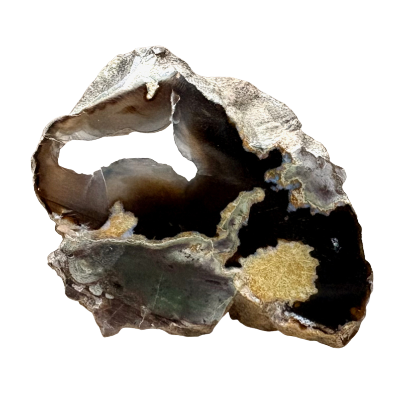 Geode, Black Agate (Bulgaria)