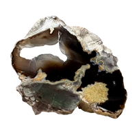 Geode, Black Agate (Bulgaria)