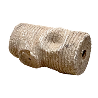 Fossil Crinoid Stem (Silurian, Morocco)