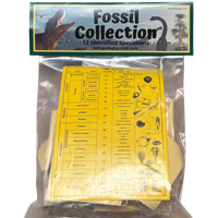 Fossil Collection Kit