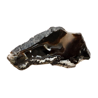 Geode, Black Agate (Bulgaria)
