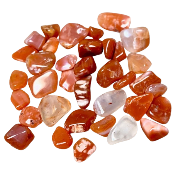 Carnelian Polished Pebble, Set of 5 (Sierra County, New Mexico)