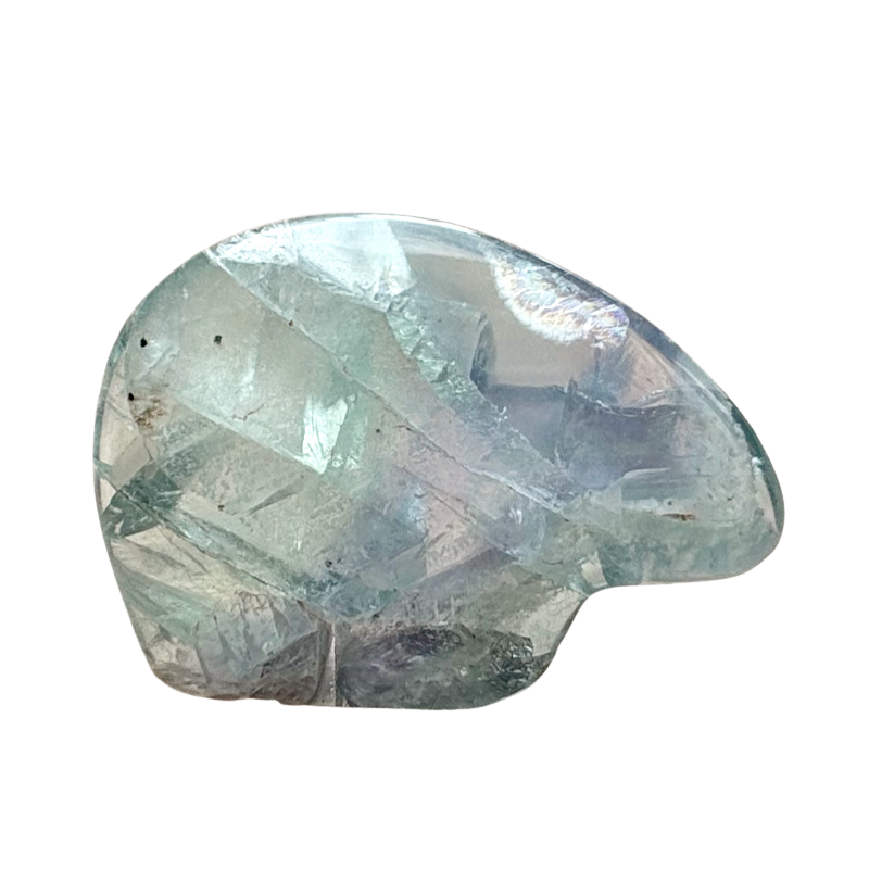 Bear Fetish Carving in Fluorite