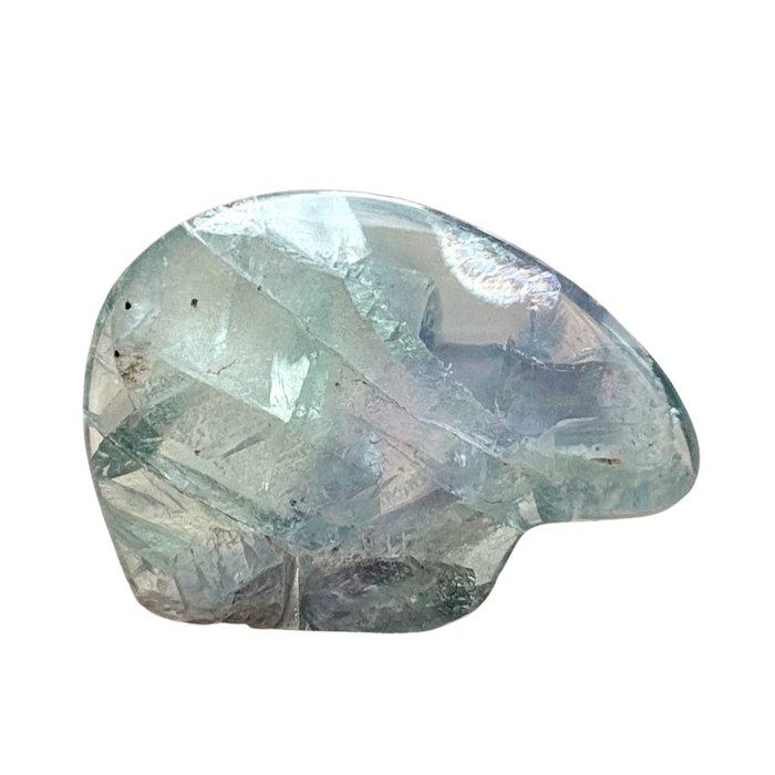Bear Fetish Carving in Fluorite