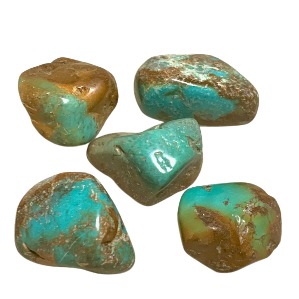 Turquoise Natural Polished Pebble