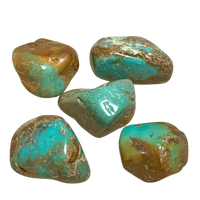 Turquoise Natural Polished Pebble