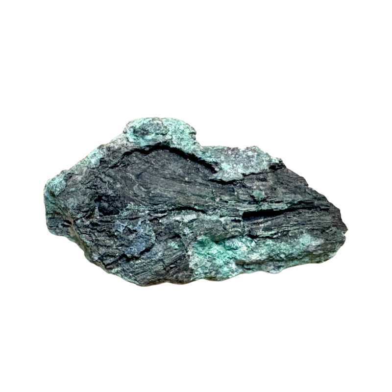 Petrified Wood, "Nacimiento" (Triassic, Sandoval Co., New Mexico)