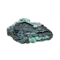 Petrified Wood, "Nacimiento" (Triassic, Sandoval Co., New Mexico)