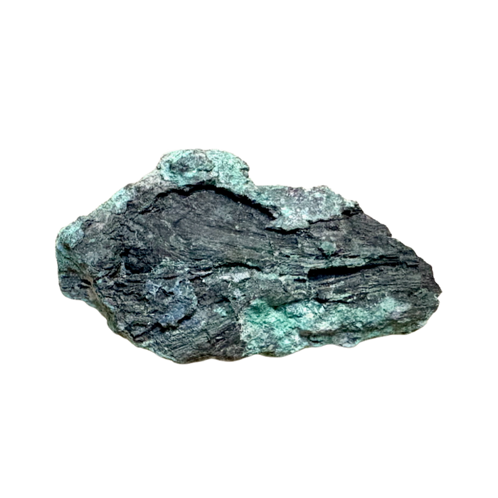 Petrified Wood, "Nacimiento" (Triassic, Sandoval Co., New Mexico)