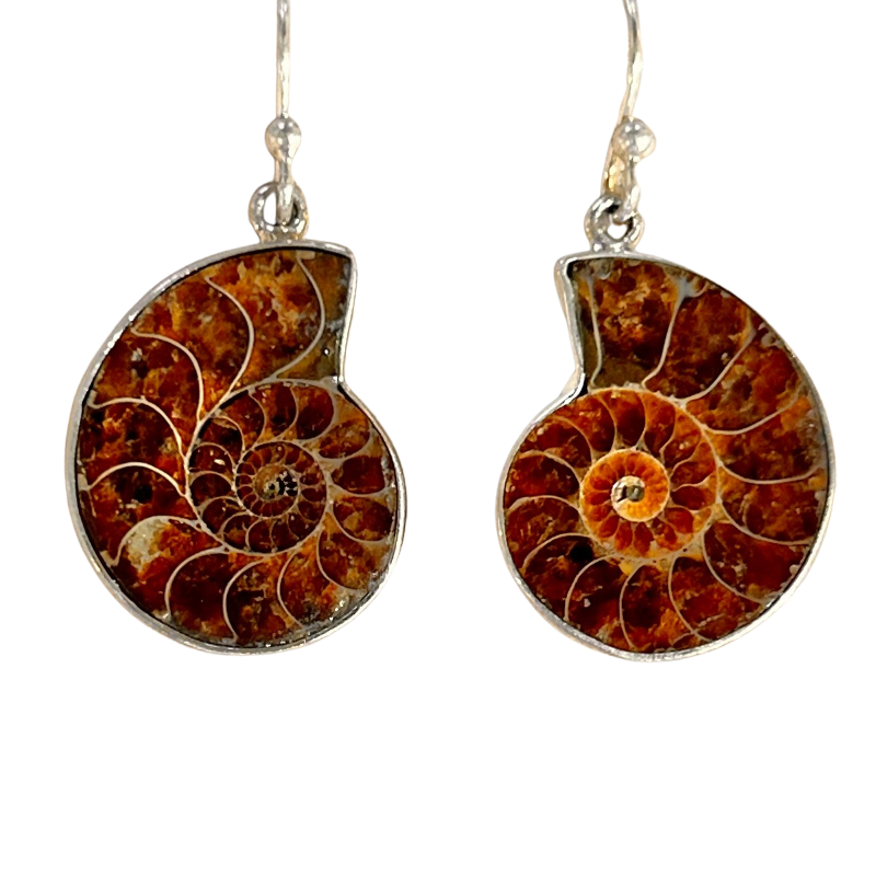 Ammonite Slice Dangle Earrings