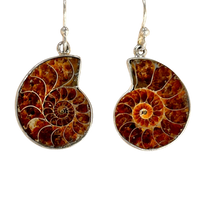 Ammonite Slice Dangle Earrings
