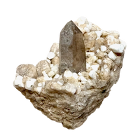 Smoky Quartz on Orthoclase with Albite (Dona Ana Co., New Mexico)