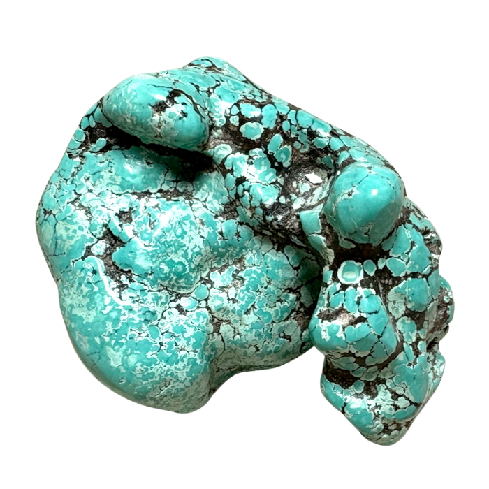 Turquoise Polished "Nugget"