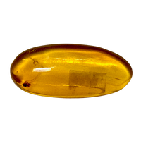 Fossil Amber (Dominican Republic)