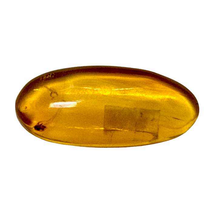 Fossil Amber (Dominican Republic)