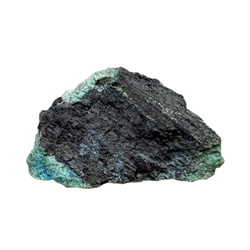 Petrified Wood, "Nacimiento" (Triassic, Sandoval Co., New Mexico)