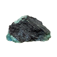 Petrified Wood, "Nacimiento" (Triassic, Sandoval Co., New Mexico)